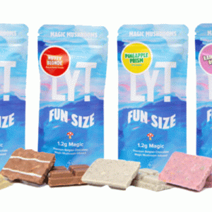 LYT Magic Fun Size Chocolate Bars 1.2G